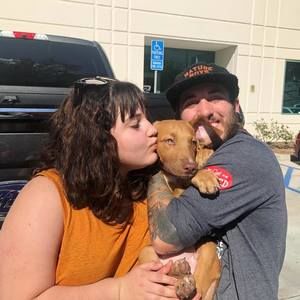 Meet your Posher, Charles